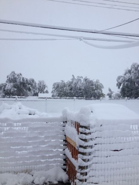 Winter Storm Atlas